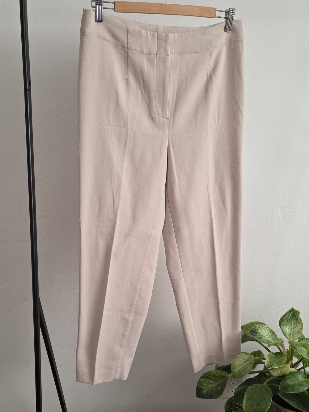 Ann Taylor Light Beige Straight-Leg Trousers